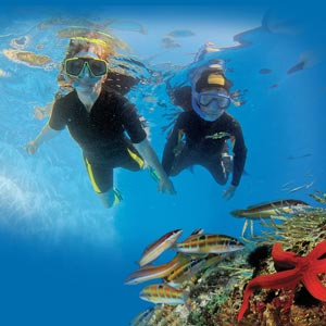 Balades aquatiques, plongée sous-marine dans le var, Le Pradet, club de plongé et snorkeling